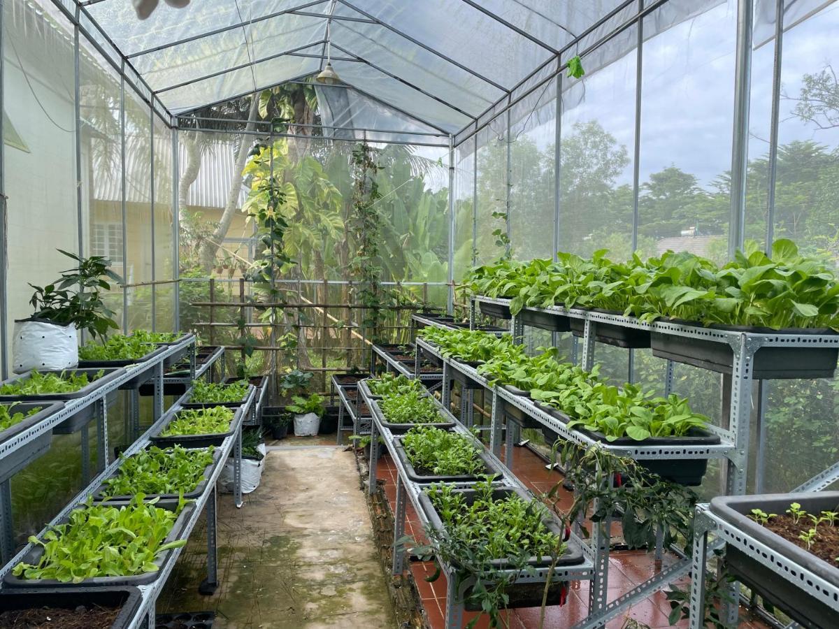 Апартаменти Tropical Garden Фукуок Екстер'єр фото