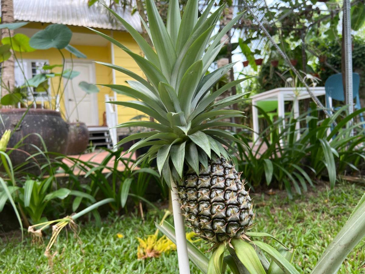 Апартаменти Tropical Garden Фукуок Екстер'єр фото