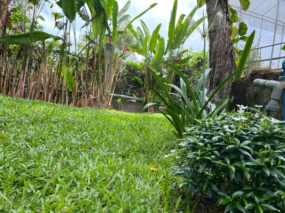 Апартаменти Tropical Garden Фукуок Екстер'єр фото