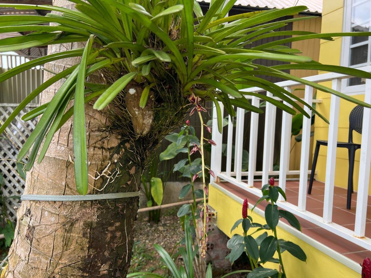 Апартаменти Tropical Garden Фукуок Екстер'єр фото
